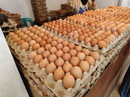 The Real Story Behind the egg Prices